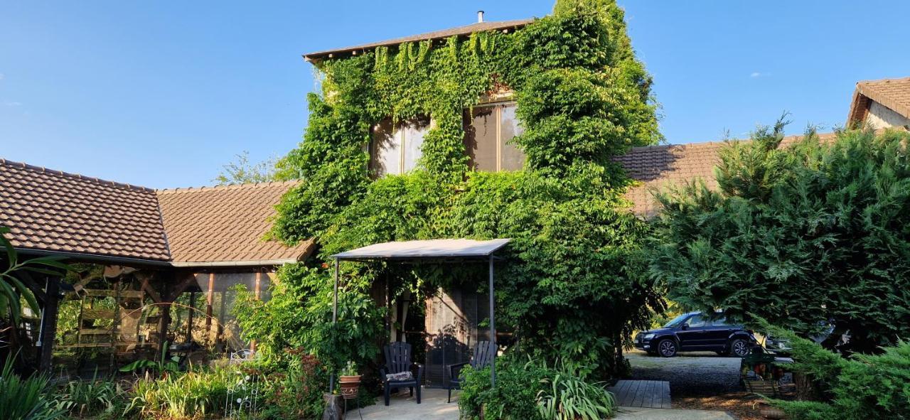 Les Grands Bois Villa Saint-Epain Luaran gambar